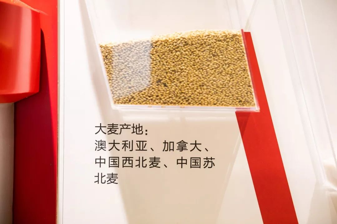 報(bào)告:我想去百威中國(guó)那個(gè)啤酒展覽館打卡品美酒佳肴|國(guó)潮范這么閃 - 第49張 - 會(huì)展活動(dòng)策劃CCASY.COM 報(bào)告:我想去百威中國(guó)那個(gè)啤酒展覽館打卡品美酒佳肴|國(guó)潮范這么閃 - 第49張