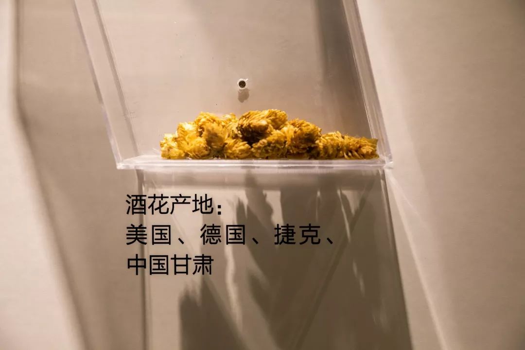 報(bào)告:我想去百威中國(guó)那個(gè)啤酒展覽館打卡品美酒佳肴|國(guó)潮范這么閃 - 第50張 - 會(huì)展活動(dòng)策劃CCASY.COM 報(bào)告:我想去百威中國(guó)那個(gè)啤酒展覽館打卡品美酒佳肴|國(guó)潮范這么閃 - 第50張