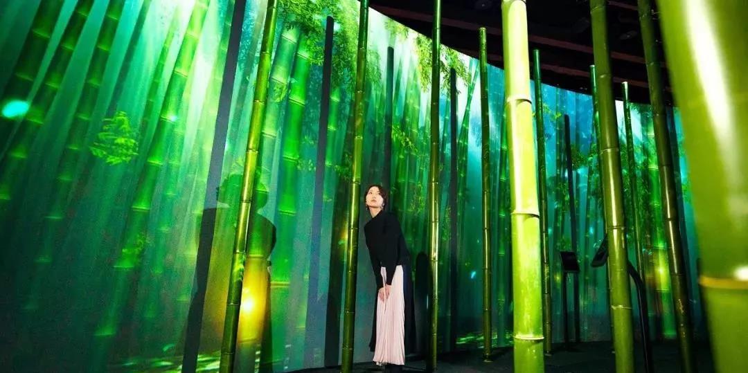 沉浸式的櫻花展覽策劃驚艷了廣大游客的目光，光影互動(dòng)太厲害了！