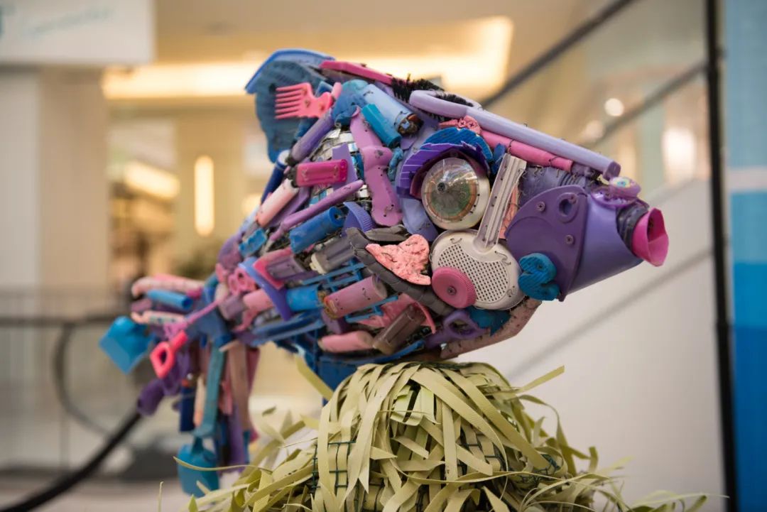 海洋垃圾藝術(shù)展覽活動策劃的每一件作品都讓人驚嘆不已！